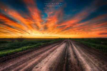 Take me Home